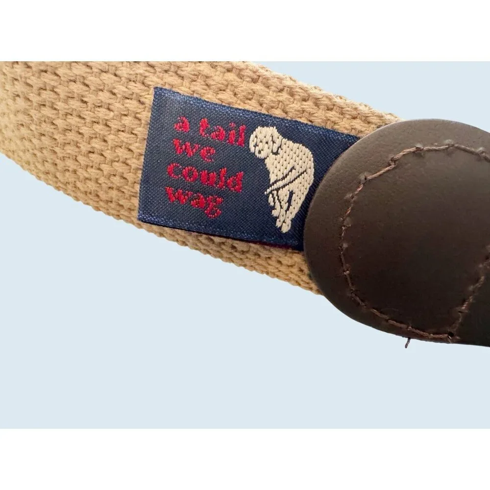 A TAIL WE CAN WAG Handmade Guatemalan Woven Leather Belt